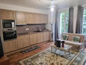Image of Appartement saint ouen 45M2