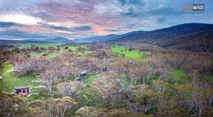 Image of Big Yard Escapes - Two Off-Grid Tiny Houses on the Mowamba River