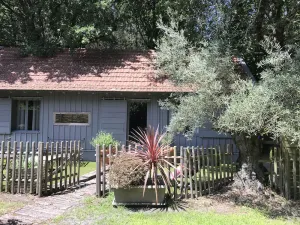 Image of Charming wooden house*** typical of the Basin in the heart of the forest with bicycles