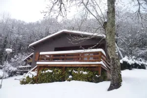Image of MOUNTAIN CHALET (PROMIXITE DE GOURETTE)