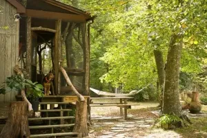Image of Aylett River Paradise: A whimsical gem designed to harmonize with nature.