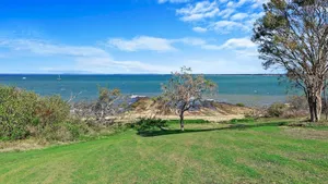 Image of Kangaroos at the point