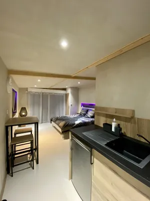 Image of Superb furnished studio 25M2 with terrace