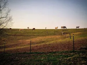 Image of The Bunkhouse @Dragonfly Ranch is made to make you feel like home away from home
