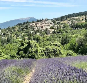 Image of Dans le Luberon Nord, au Pied du Ventoux, Maison de 1861