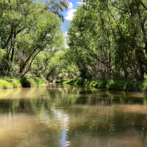 Image of Wineries, Sedona, Jerome, Verde River, Home on nature preserve