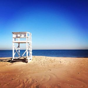 Image of Dream Retreat Guesthouse, Indiana Dunes Nat’l Park, 10 min hike to Beach