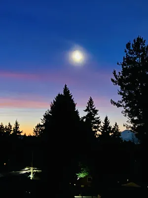 Image of MountForest Retreat