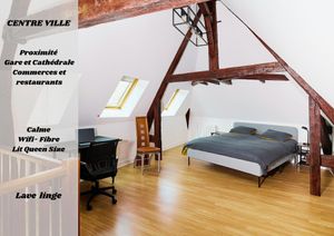 Image of Manceau - Magnificent duplex - Downtown - Cathedral view