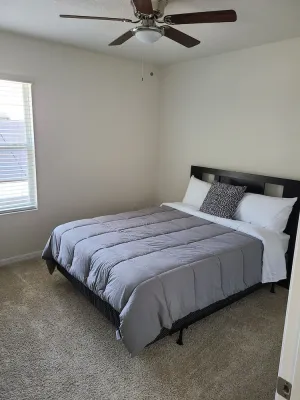 Image of Brand new modern home near the heart of Tampa