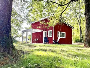 Image of The little house on the edge of the woods