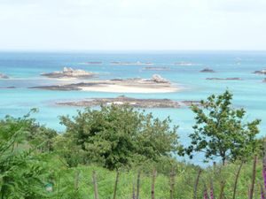 Image of Charming house with garden at 100 m from the sea, 4 people. Wetting.