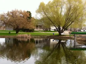 Image of The Ponds-A Working Ranch