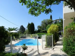 Image of When the cicadas wake up: Lavender