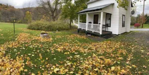 Image of Sportsman Cottage - Raystown Lake Vacation Rentals, Aunt Susie's