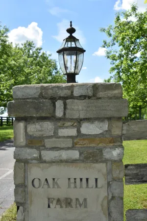 Image of The Heart of Horse & Bourbon Country