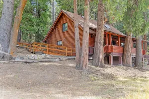 Image of Dog-friendly cabin in the woods with WiFi, wood stove, and private washer\/dryer