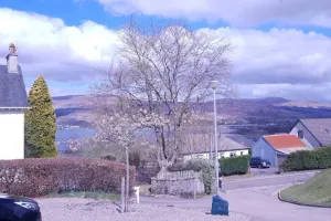 Image of Pinegrove flat