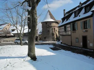Image of Holiday apartment Ammerschwihr for 1 - 5 persons with 2 bedrooms - Holiday house