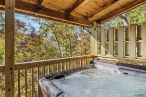 Image of Adorable 3BD Cabin! Hot Tub + Pool Table + Views!