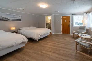 Image of Star Gate Room 12 Indian River, MI