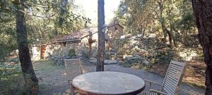 Image of Holiday house Sillans la Cascade for 1 - 4 persons with 1 bedroom - Holiday home