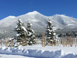 Image of Spring in Flagstaff offers so much fun! Snowbowl is staying OPEN!!  Book now!