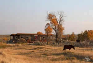 Image of C1: Modern cabin on Wind River on working cattle ranch