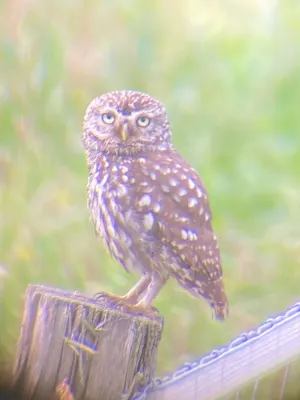 Image of Villenouan domaine et gites