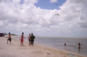 Image of Mema's Beach Cottage