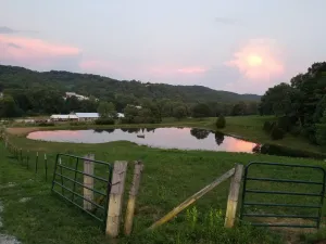Image of Swim, Fish, Hike, Horseback