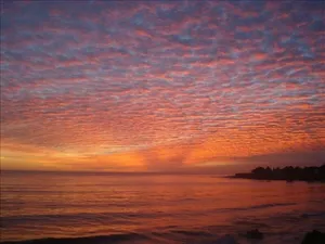 Image of Sweet 1 BDRM Cottage, FAST WIFI, near ocean, W&D, Full kitchen and bath, BBQ!