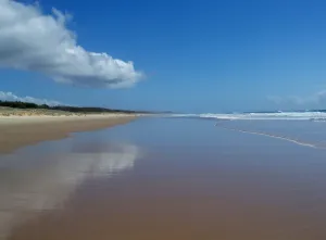 Image of Malibu Apartment - Peregian Beach