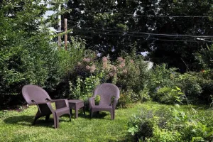 Image of Fenced Yard, Remote Work, Laundry, UR\/RIT\/Strong