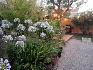 Image of Villa " Les Bambous " , Jardin , Terrasse , Climatisation , Wifi , Parking