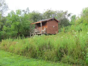 Image of Unplug at cabin for 2