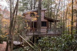 Image of Sylvan Float Treehouse | 1 Bed, 0.5 Bath