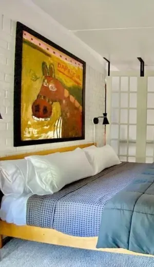 Image of Toadhaus Modern Studio Suite in Athens GA Residential UGA artsy