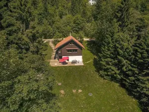 Image of Chalet Chalet de la Vue des Alpes by Interhome