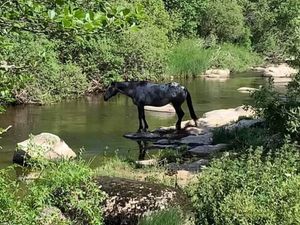 Image of La truyere, a la chaldette