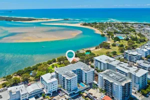 Image of 10511 Cotton Tree
