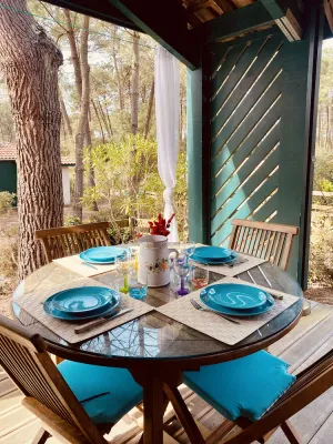Image of 🌾Small salty cocoon, house under the pines 5 minutes from the beach🌾