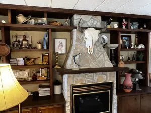 Image of 3 Bed 2 Bath cabin nestled in the pines between Leadville and Turquoise Lake.