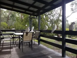 Image of Cockatoo Cabin