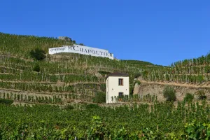 Image of Gîte La Tour du Pavillon in the heart of the Ermitage vineyards