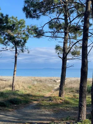 Image of RENTAL - all year round Plage de la Marana Borgo