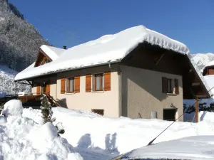 Image of Spacious apartment for 5 people at the gates of Aravis