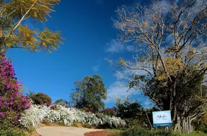 Image of Enjoy the ultimate natural indulgence – a million-star spa…