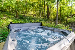Image of Hot Tub, Wraparound Deck, & WiFi at Chalet Cabin