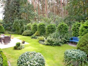 Image of Comfort apartment 4 * Haus Heidelerche - 3-room apartment Haus Heidelerche